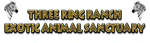 Three Ring Ranch Exotic Animal Sanctuary